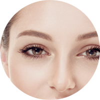 קישור לכתבה